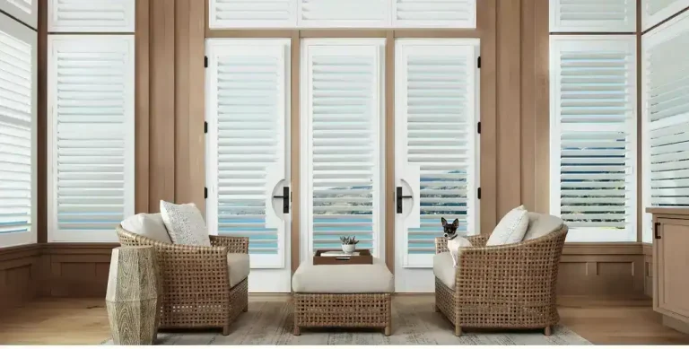 Two wicker chairs and an ottoman near window treatments; a small dog sits on the right-hand chair.