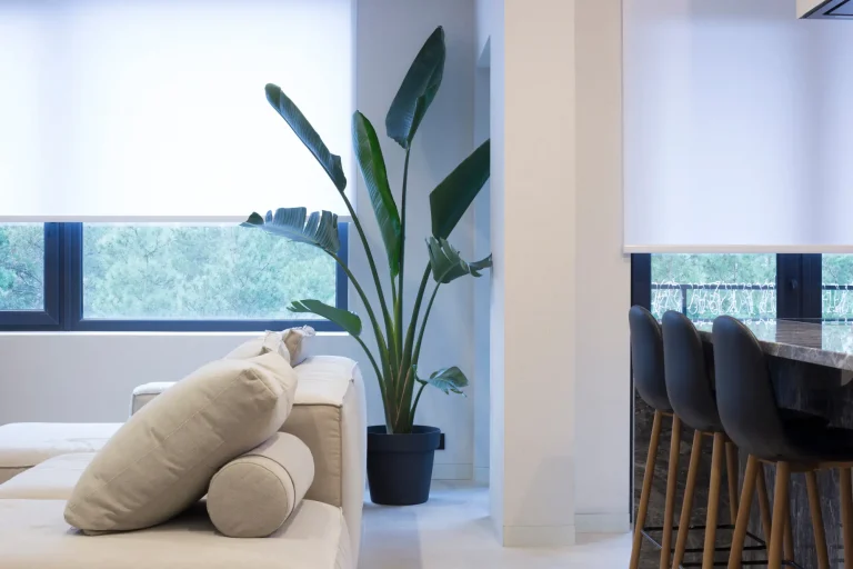 Modern living space with white furniture, potted plant, and bar stools by Window Treatments North Carolina.
